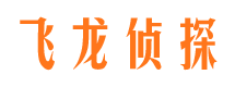 关岭侦探公司